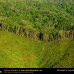 deforestationpanama-ap02031203981-sw