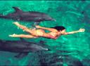 dolphin-swimmer-wall01_photo-thumbnail
