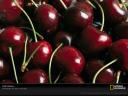 fresh-cherries-967760-sw-thumbnail